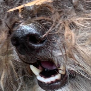 Meet your Posher, Miranda